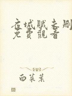 夜城赋未删减版免费观看