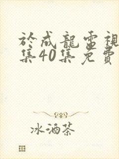 于成龙电视剧全集40集免费观看封面