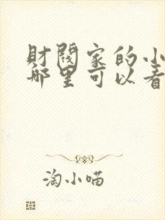 财阀家的小儿子哪里可以看封面