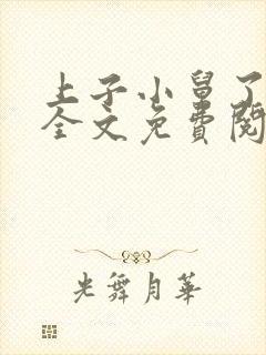 上子小舅了老婆全文免费阅读