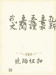 我妻吾妻孔林全文阅读最新章节