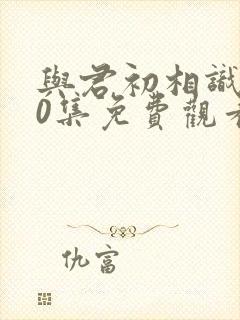 与君初相识全40集免费观看