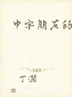 中字朋友的妈妈