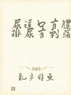 尿道口有脓水 排尿有刺痛感