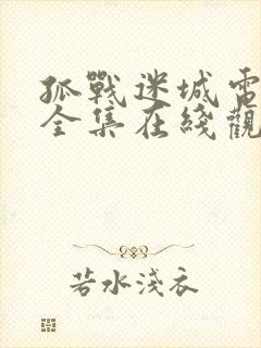 孤战迷城电视剧全集在线观看封面