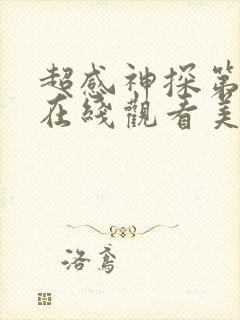 超感神探第6季在线观看美剧