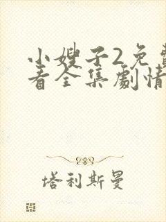 小嫂子2免费观看全集剧情电视剧