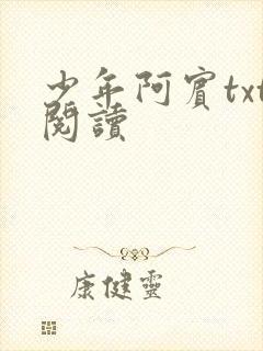 少年阿宾txt阅读
