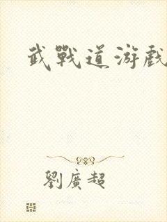 武战道游戏