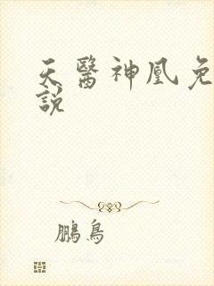 天医神凰免费小说封面