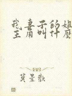 我妻子的姐姐女主角叫什么