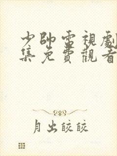 少帅电视剧48集免费观看