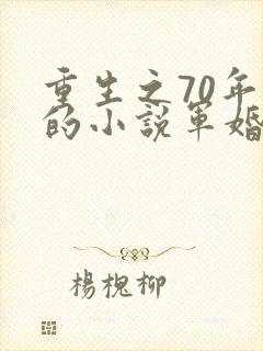 重生之70年代的小说军婚