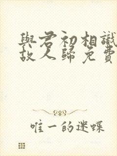 与君初相识恰似故人归免费在线观看