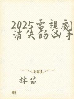 2025电视剧消失的凶手在线观看