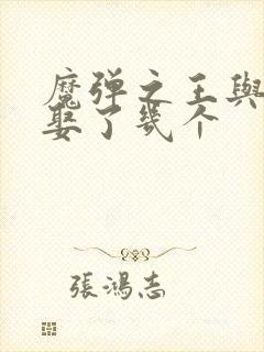 魔弹之王与战姬娶了几个封面