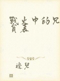 战火中的兄弟演员表