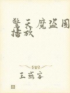 惊天魔盗团2 播放