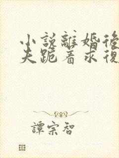 小说离婚后,前夫跪着求复合