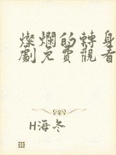 灿烂的转身连续剧免费观看全集