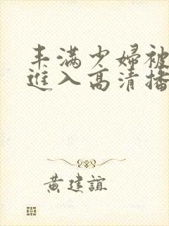 丰满少妇被猛烈进入高清播放小说