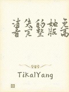 消失的她免费观看完整版高清在线封面