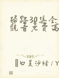 归路30集全集观看免费高清电视剧视频