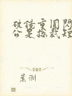 破镜重圆闪婚老公是总裁短剧