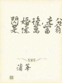 闪婚后,老公竟是亿万富翁全部章节