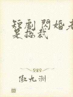 短剧 闪婚老公是总裁封面