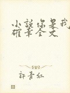 小说你是我的小确幸全文封面