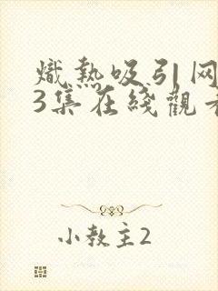 炽热吸引网剧13集在线观看