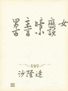 男主暗恋女主的古言小说封面