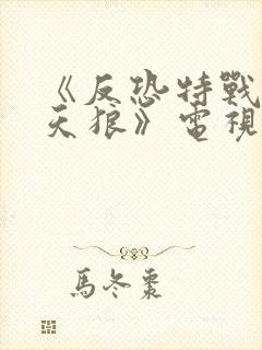 《反恐特战队之天狼》电视剧封面