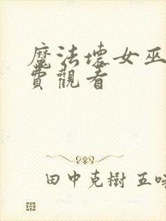 魔法坏女巫1免费观看封面