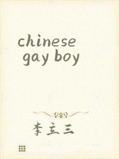 chinese gay boy封面
