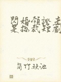 闪婚领证老公竟是总裁短剧