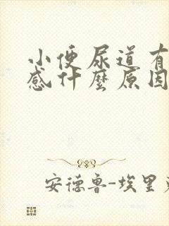 小便尿道有刺痛感什么原因