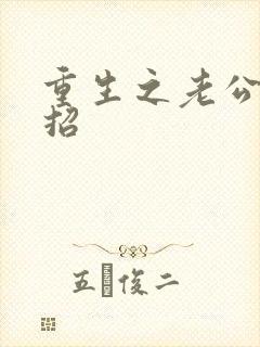 重生之老公请接招封面