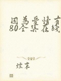 因为爱情有多美80全集在线观看高清