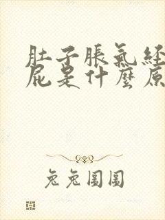 肚子胀气经常放屁是什么原因导致的