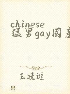 chinese猛男gay国产video网站