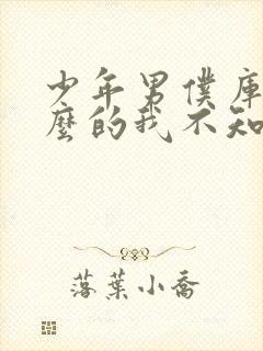 少年男仆库洛什么的我不知道