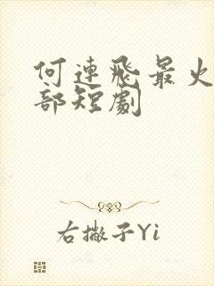 何连飞最火的十部短剧封面