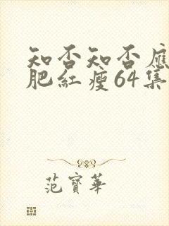 知否知否应是绿肥红瘦64集