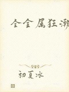 全金属狂潮小说