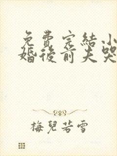 免费完结小说离婚后前夫哭着求复婚