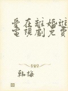 爱在离婚进行时电视剧免费看