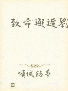 致命邂逅刘小寐