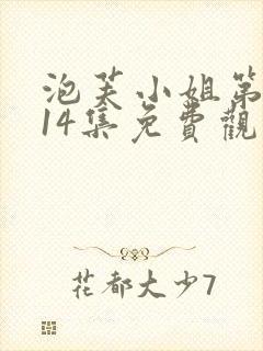 泡芙小姐第六季14集免费观看全集